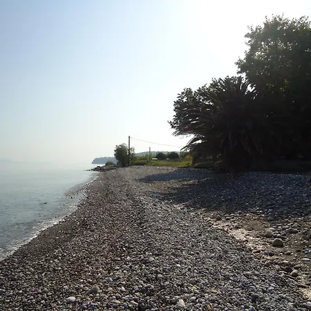 Luxury Beachfront Poseidon Artemisiou παραθαλάσσια στην βόρεια εύβοια για φιλοξενία 9 ατόμων ヴィラ Artemísion