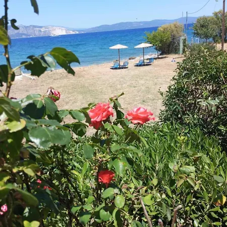 Luxury Beachfront Poseidon Artemisiou παραθαλάσσια στην βόρεια εύβοια για φιλοξενία 9 ατόμων ヴィラ