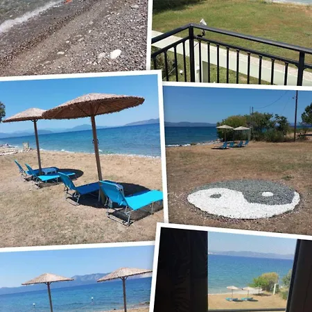 Luxury Beachfront Poseidon Artemisiou παραθαλάσσια στην βόρεια εύβοια για φιλοξενία 9 ατόμων ヴィラ